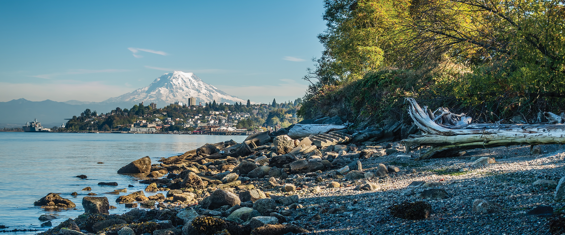 A Washington State beach shore and Mt. Rainier in the background