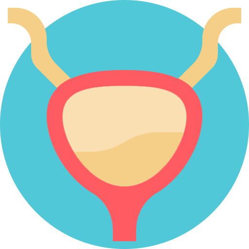 urology-bladder-image