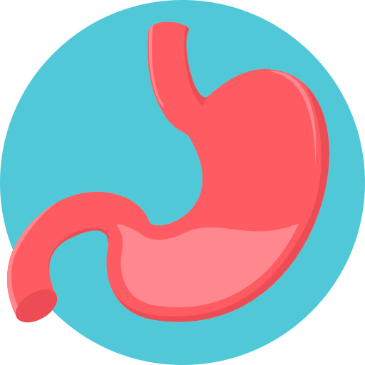 Icon of the stomach