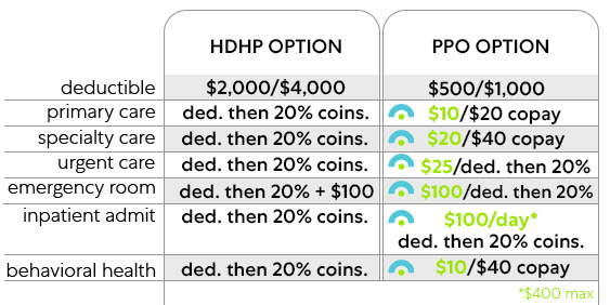 Embright comparison table of HDHP and PPO with Embright options